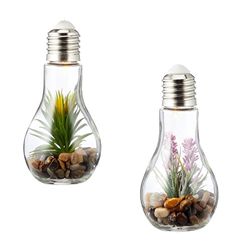 levandeo 2er Set Sukkulenten LED Glühbirne Glas B x H: 8x19cm Deko Lampe Kunstpflanze Grün Hängelampe Tischdeko levandeo 2er Set Sukkulenten LED Glühbirne Glas B x H: 8x19cm Deko Lampe Kunstpflanze Grün Hängelampe Tischdeko von levandeo
