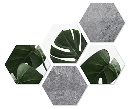 5er Set Wandbilder je 28x32cm Wanddeko Hexagon Monstera Betonoptik Holzbild Deko Blatt Waben Sechseck von levandeo