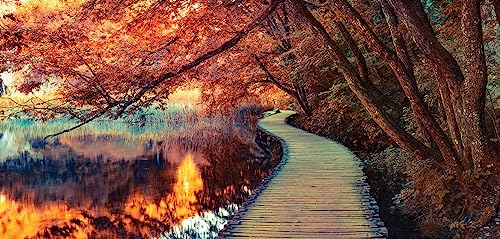 XXL Wandbild 115x55cm Leinwand Herbstfarben Wald Herbst Bild Kunstdruck Deko Wanddeko Leinwandbild Sonnenuntergang XXL Wandbild 115x55cm Leinwand Herbstfarben Wald Herbst Bild Kunstdruck Deko Wanddeko Leinwandbild Sonnenuntergang von levandeo