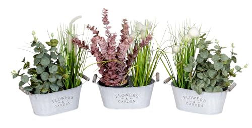 levandeo 3er Set Pflanzkübel L25cm Metall Pflanztopf Vintage Shabby Chic Balkon Garten Gartendeko Pflanzschale Blumentopf von levandeo