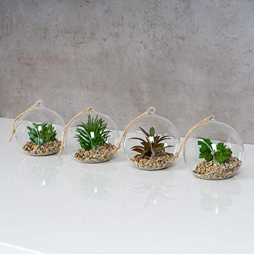 levandeo 4er Set Sukkulenten Glas 10x12cm Pflanze Grün Tischdeko Kunstpflanze Deko Kunstblume von levandeo