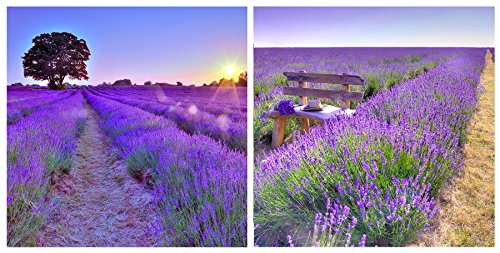 levandeo Glasbild 2er Set je 30 x 30 cm Wandbild Glas Lavendel Feld Sonne Land Dekoration levandeo Glasbild 2er Set je 30 x 30 cm Wandbild Glas Lavendel Feld Sonne Land Dekoration von levandeo