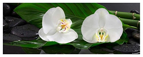 levandeo Glasbild 30x80cm Wandbild aus Glas weiße Orchideen Blume Steine Bambus Feng Shui von levandeo