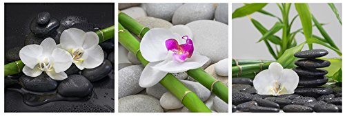 levandeo Wandbild 3er Set je 30 x 30 cm Aluminium Dibond Orchideen Bambus Steine Deko Wellness Wanddeko Einrichtung levandeo Wandbild 3er Set je 30 x 30 cm Aluminium Dibond Orchideen Bambus Steine Deko Wellness Wanddeko Einrichtung von levandeo