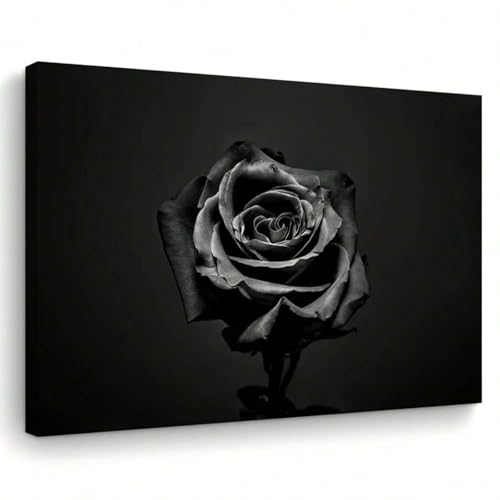 1 Stück elegante schwarze Rose, Leinwandbild, abstrakter Blumendruck für Wohnzimmer, Schlafzimmer, Küche, Junggesellenabschied, Dekoration, 30 x 40 cm, rahmenlos 1 Stück elegante schwarze Rose, Leinwandbild, abstrakter Blumendruck für Wohnzimmer, Schlafzimmer, Küche, Junggesellenabschied, Dekoration, 30 x 40 cm, rahmenlos von lianyibo