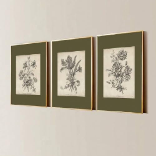 lianyibo 3er-Set Boho Grüne Skizze Blume Vintage Wandkunst Poster Leinwanddruck Minimalistisch Antik Botanisch Wohndekor 70x100cmx3 Rahmenlos von lianyibo