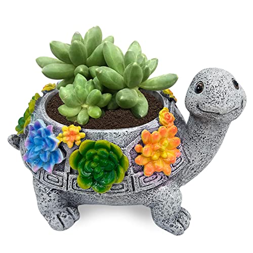 lifemet Gartendeko Schildkröte Sukkulenten Blumentopf Niedlichen Tierförmigen Blumentöpfe Dekoration Harz Kaktus Pflanze Töpfe für Home Office Schreibtisch Mini Ornament Blumentöpfe Balkon Deko von lifemet