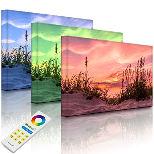 Lightbox-Multicolor | LED Bild Leuchtbild | Gras am Strand bei Sonnenuntergang | 80x60 cm | Fully Lighted von lightbox-multicolor.com