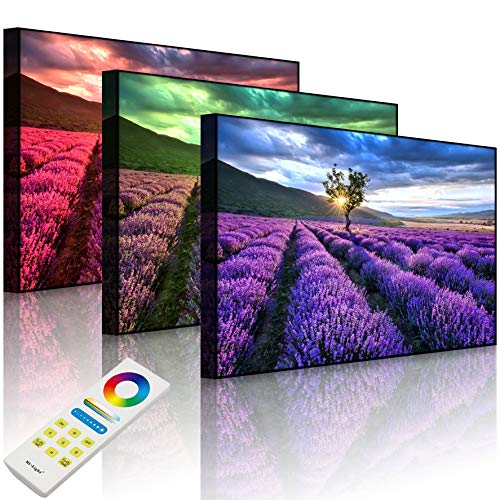 Lightbox-Multicolor | Bild mit LED Hintergrundbeleuchtung | Traumhafte Lavendel Provence mit einsamen Baum | 100x70 cm | Front Lighted von lightbox-multicolor.com