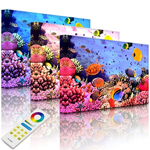 Lightbox-Multicolor | LED Bild Leuchtbild | Bunte Fische über Korallenriff | 100x70 cm | Fully Lighted von lightbox-multicolor.com
