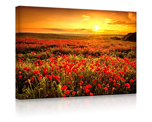 lightbox multicolor | Beleuchtete Bilder | Mohnblütenfeld bei traumhaftem Sonnenuntergang | 100x70 cm | Front Lighted lightbox multicolor | Beleuchtete Bilder | Mohnblütenfeld bei traumhaftem Sonnenuntergang | 100x70 cm | Front Lighted von lightbox multicolor