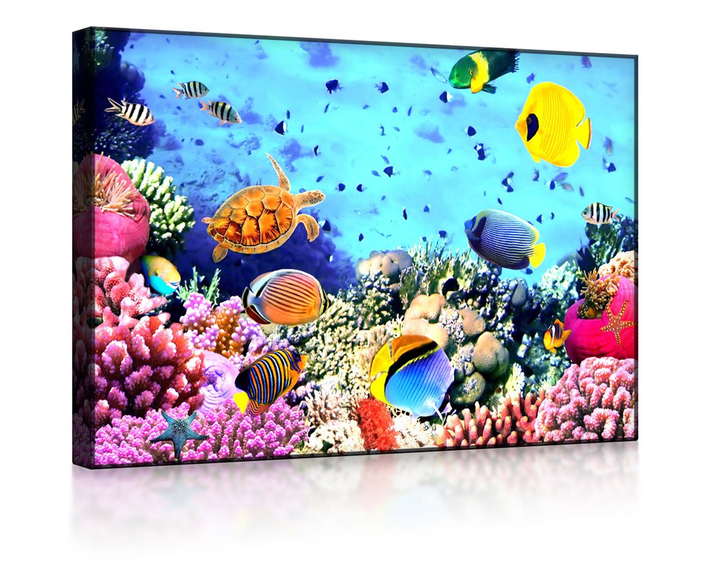 lightbox-multicolor LED-Bild Bunte Fische über Korallenriff front lighted / 60x40cm, Leuchtbild mit Fernbedienung von lightbox-multicolor