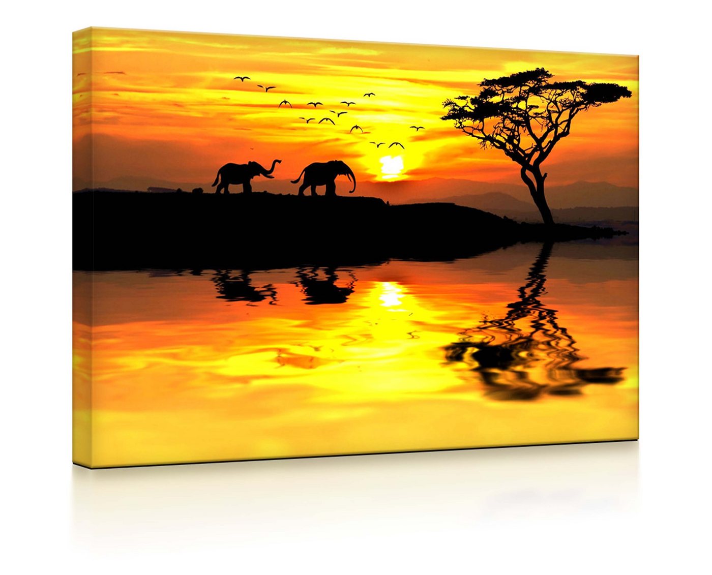 lightbox-multicolor LED-Bild Elefanten in afrikanischer Steppe fully lighted / 60x40cm, Leuchtbild mit Fernbedienung von lightbox-multicolor