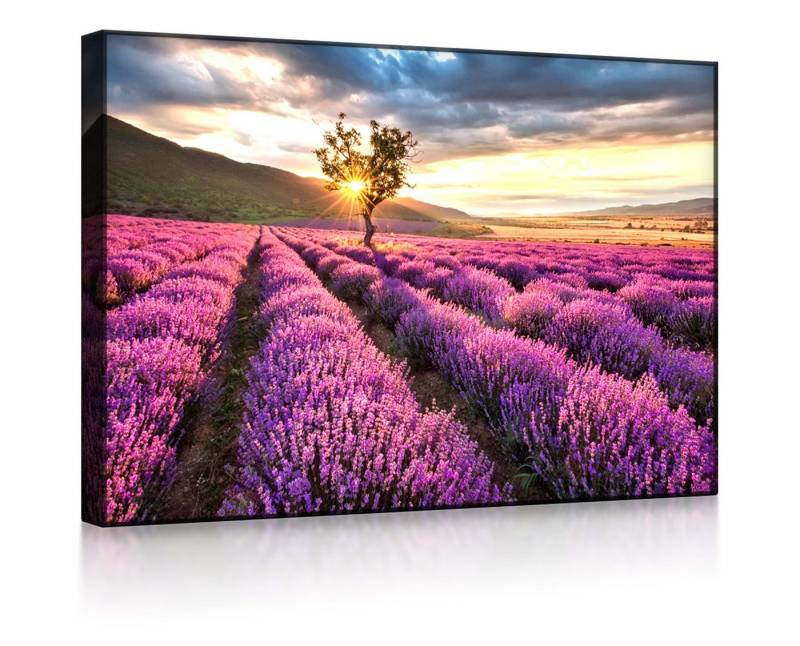 lightbox-multicolor LED-Bild Provence mit einsamen Baum front lighted / 60x40cm, Leuchtbild mit Fernbedienung lightbox-multicolor LED-Bild Provence mit einsamen Baum front lighted / 60x40cm, Leuchtbild mit Fernbedienung von lightbox-multicolor