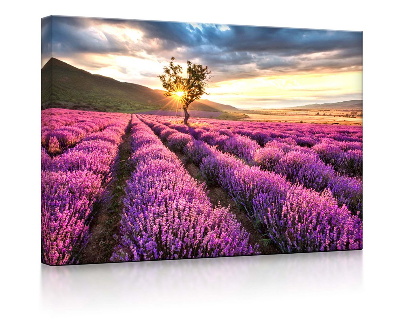 lightbox-multicolor LED-Bild Provence mit einsamen Baum fully lighted / 60x40cm, Leuchtbild mit Fernbedienung von lightbox-multicolor