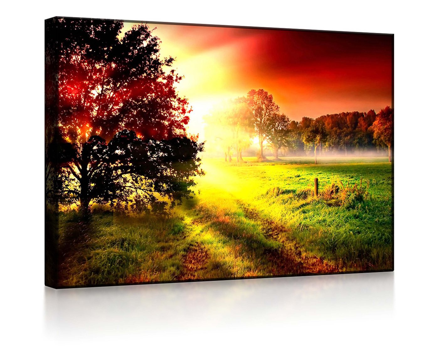 lightbox-multicolor LED-Bild Sonnenuntergang an nebliger Lichtung front lighted / 60x40cm, Leuchtbild mit Fernbedienung von lightbox-multicolor