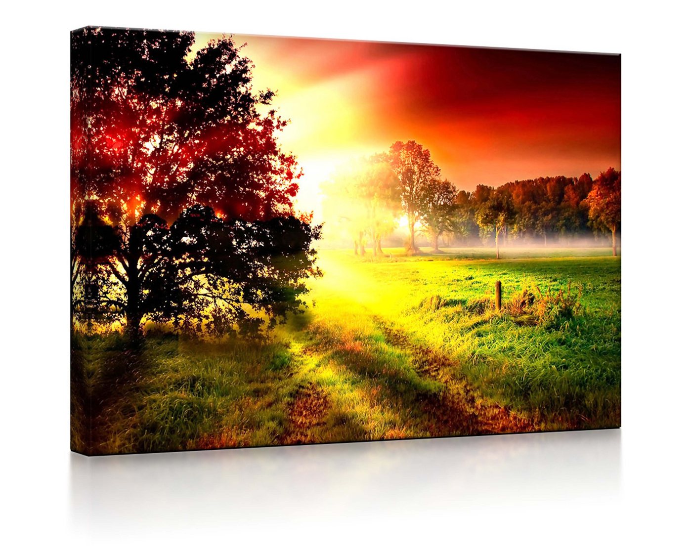 lightbox-multicolor LED-Bild Sonnenuntergang an nebliger Lichtung fully lighted / 60x40cm, Leuchtbild mit Fernbedienung von lightbox-multicolor