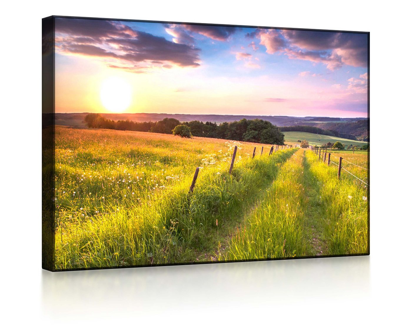 lightbox-multicolor LED-Bild Wunderschöne Bergwiese im Sonnenaufgang front lighted / 60x40cm, Leuchtbild mit Fernbedienung von lightbox-multicolor