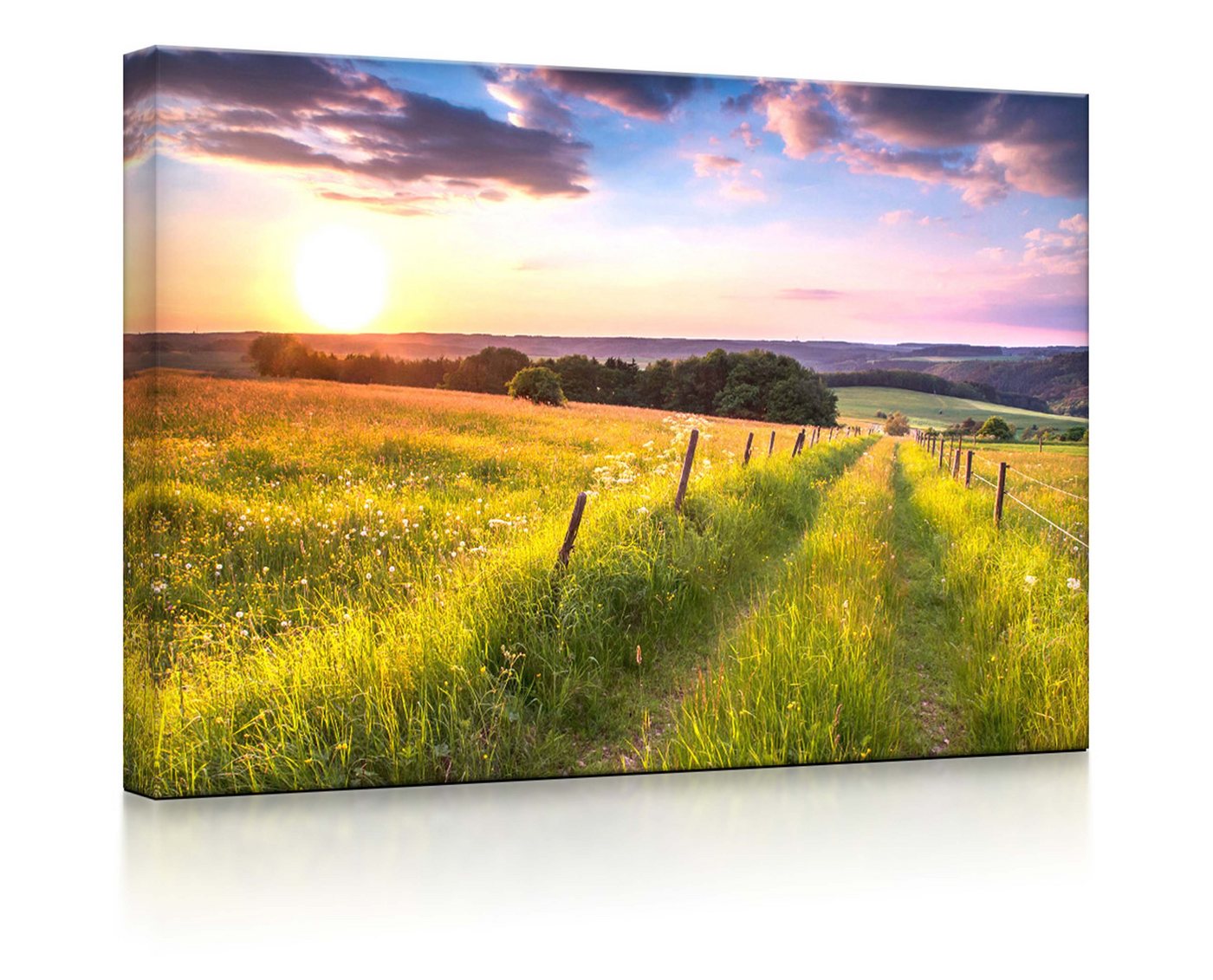 lightbox-multicolor LED-Bild Wunderschöne Bergwiese im Sonnenaufgang fully lighted / 60x40cm, Leuchtbild mit Fernbedienung von lightbox-multicolor