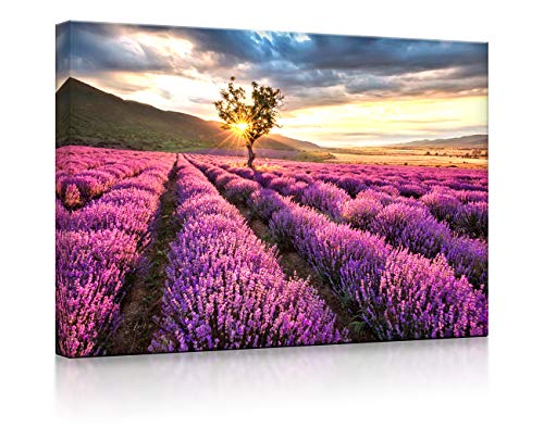 lightbox multicolor | LED Leuchtbild | Provence mit einsamen Baum | 100x70 cm | Fully Lighted von lightbox multicolor