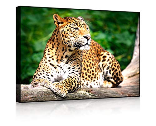 lightbox multicolor | LED Wandbild | Leopard in der Natur | 100x70 cm | Front Lighted von lightbox multicolor