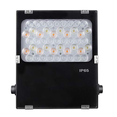 lighteu®, Miboxer 50W AC100~240V Gartenstrahler RGBCCT und Farbtemperatur einstellbar WiFi LED Gartenrasenleuchte IP66 wasserdicht ohne Stecker futC06 von lighteu