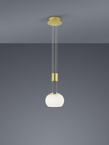 lightling Harrison LED Pendelleuchte, Ø 18 cm, Switch Dimmer, höhenverstellbar: 95-150 cm, Switch Dimmer, Messing matt, 8 Watt von lightling