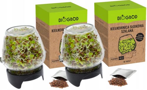 2 X KEIMBOX Keimgarten, Keimgerät Keimglas Twist-Off + Radieschensamen von lilawelt24
