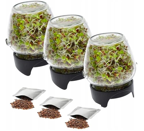 3 X KEIMBOX Keimgarten, Keimgerät, Keimglas Twist-Off + Radieschensamen 3 X KEIMBOX Keimgarten, Keimgerät, Keimglas Twist-Off + Radieschensamen von lilawelt24