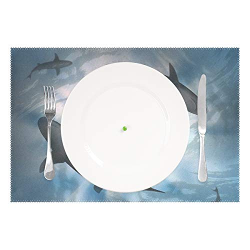 linomo Platzdeckchen, Meer Tier Hai Tischsets rutschfeste, hitzebeständige, waschbare Tischsets für den Esstisch Küche Dekor von linomo