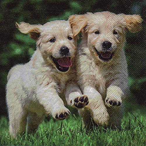 linoows 20 Servietten, Zwei tobende Welpen, glückliche Hundebabys 33x33 cm von linoows