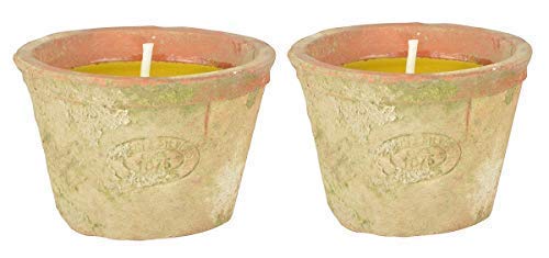 linoows Zwei Zitronella Kerzen im Terrakotta Topf 2 Duft Partylichter, Mückenschreck von linoows