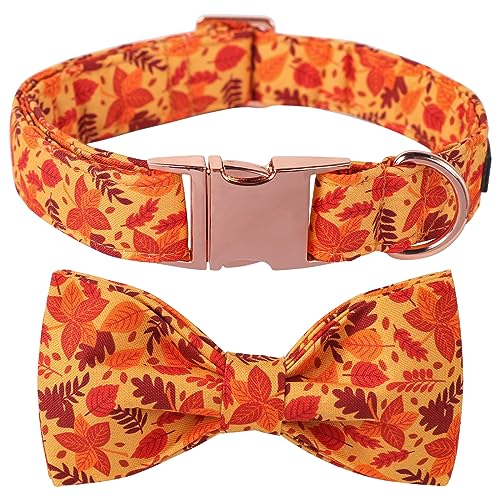 Lionet Paws Autumn Hundehalsband mit Fliege,Rote Blätter Langlebiges Bequemes Baumwolle Halsband mit Metall-Klickverschluss für Hunde und Katzen, Hals 40-60cm von lionet paws