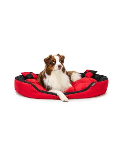 lionto Hundebett 4-in-1 mit Wendekissen aus robustem Oxford, 110x80 cm, Heimtierkissen Kratzfest mit tiefem Einstieg für Katzen und Hunde Aller Größen, wasserabweisend, rot/schwarz (Namensaufdruck) von lionto