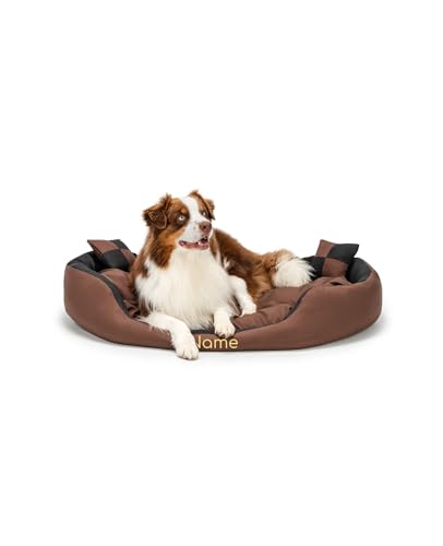 lionto Hundebett 4-in-1 mit Wendekissen aus robustem Oxford, 110x80 cm, Heimtierkissen Kratzfest mit tiefem Einstieg für Katzen und Hunde Aller Größen, wasserabweisend, schwarz/braun (Namensaufdruck) von lionto