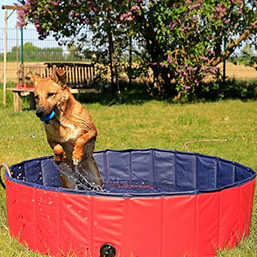 lionto Hundepool faltbar aus kratzfestem PVC-Material, Ø 120 cm, Höhe 30 cm, Anti-Rutsch-Belag & Abflussstopfen für schnelle Entleerung, Keine Pumpe benötigt, robuster Kinderpool, blau/rot von lionto