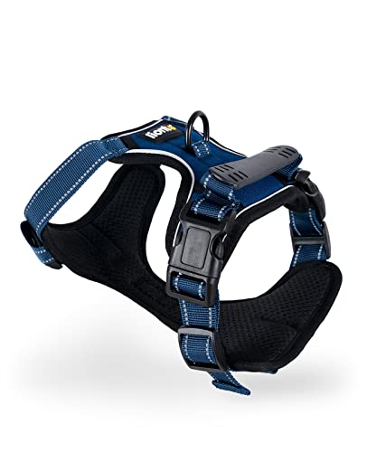 lionto Hundegeschirr gepolstert aus weichem Nylon, Größe M, reflektierendes Anti Zug Geschirr für Hunde mit 2 Ringen & 4 Einstellgurten, Zwei Klickverschlüsse & gummierter Griff am Rücken, blau lionto Hundegeschirr gepolstert aus weichem Nylon, Größe M, reflektierendes Anti Zug Geschirr für Hunde mit 2 Ringen & 4 Einstellgurten, Zwei Klickverschlüsse & gummierter Griff am Rücken, blau von lionto