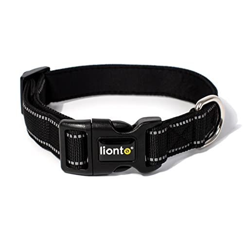 lionto Hundehalsband gepolstert Halsband Nylon reflektierend wasserfest verstellbar, Größe L, schwarz von lionto