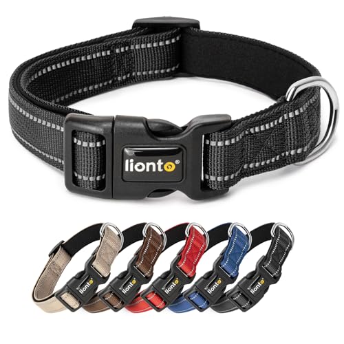lionto Hundehalsband aus strapazierfähigem Nylon, Größe L, weiches gepolstertes Halsband für Hunde, 360° reflektierend & Klickverschluss, Metallring & Anpassung durch stufenlosen Schieber, schwarz lionto Hundehalsband aus strapazierfähigem Nylon, Größe L, weiches gepolstertes Halsband für Hunde, 360° reflektierend & Klickverschluss, Metallring & Anpassung durch stufenlosen Schieber, schwarz von lionto