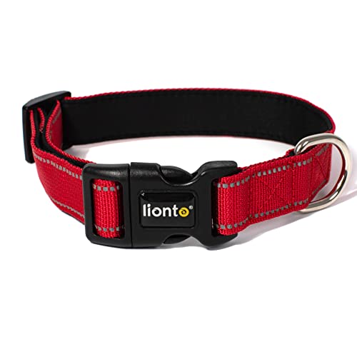 lionto Hundehalsband aus strapazierfähigem Nylon, Größe M, weiches gepolstertes Halsband für Hunde, 360° reflektierend & Klickverschluss, Metallring & Anpassung durch stufenlosen Schieber, rot von lionto