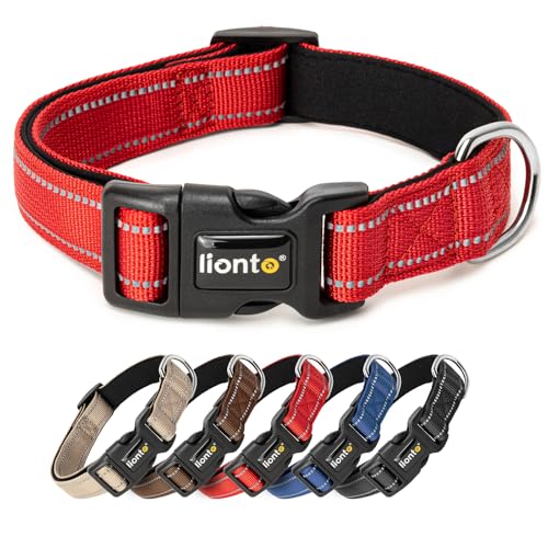 lionto Hundehalsband aus strapazierfähigem Nylon, Größe S, weiches gepolstertes Halsband für Hunde, 360° reflektierend & Klickverschluss, Metallring & Anpassung durch stufenlosen Schieber, rot lionto Hundehalsband aus strapazierfähigem Nylon, Größe S, weiches gepolstertes Halsband für Hunde, 360° reflektierend & Klickverschluss, Metallring & Anpassung durch stufenlosen Schieber, rot von lionto