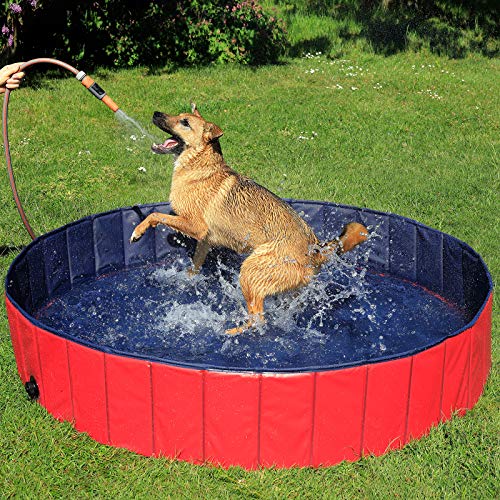 lionto Hundepool faltbar aus kratzfestem PVC-Material, Ø 160 cm, Höhe 30 cm, Anti-Rutsch-Belag & Abflussstopfen für schnelle Entleerung, Keine Pumpe benötigt, robuster Kinderpool, blau/rot von lionto