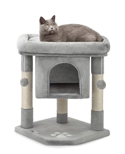 lionto Kratzbaum für Katzen mit Höhle & 2 Plüschballen inkl. Glöckchen, Höhe 60 cm, Katzenbaum mit robustem Sisalseil & weichem Plüsch, gemütliche Liegefläche, für kleine & große Katzen, hellgrau lionto Kratzbaum für Katzen mit Höhle & 2 Plüschballen inkl. Glöckchen, Höhe 60 cm, Katzenbaum mit robustem Sisalseil & weichem Plüsch, gemütliche Liegefläche, für kleine & große Katzen, hellgrau von lionto