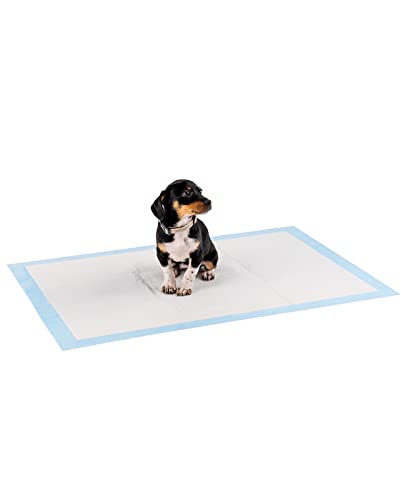 lionto Welpenunterlage Trainingspads Hygieneunterlage für Hunde auslaufsicher 6-lagig, 60x90 cm, 100 STK. von lionto