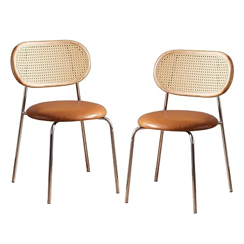 lirrebol Runde Esszimmerstühle im 2er-Set, mit Kunstleder gepolsterte Rattan-Küchenstühle, Moderne Mid-Century-Esszimmerstühle mit Rattangeflecht-Rückenlehne und Metallbeinen, Weiß/Schwarz/Braun von lirrebol
