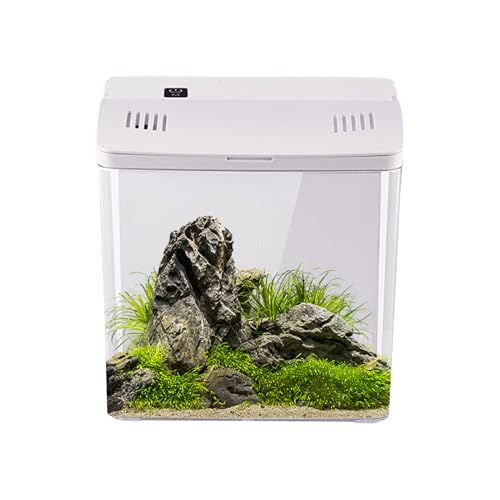 lisutupode Desktop Aquarium | Leises Aquarium Mit Filter | Haustierzubehör Für Schreibtisch Quallen Schildkröten | Büro Wohnzimmer Schreibtisch von lisutupode