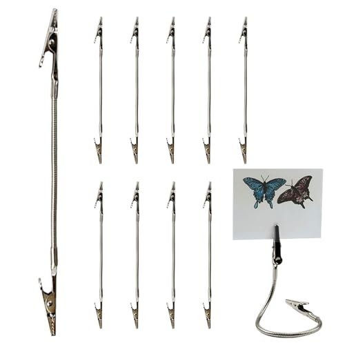 lisutupode Doppelkopf-Clip – Spulenhalter | 10 Stück Aufbewahrungszubehör tragbare lange Schlauch-Etikettenklemme Tags Postkarten für den Außenbereich Zuhause Terrasse von lisutupode