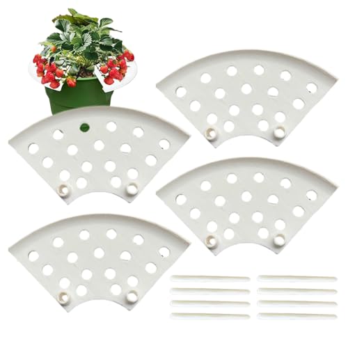 lisutupode Erdbeerpflanzenstütze – Erdbeer-Pflanzständer | 4 Stück Anzuchtständer Käfigregal Schutz für Gartenarbeit Topfobstblumen Rosen Rasen Terrasse von lisutupode