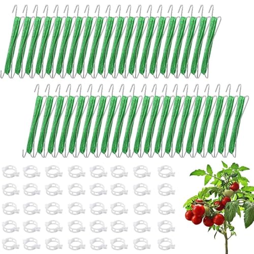 lisutupode Kletterpflanzen Stützhaken | Gartenhalter Zur Unterstützung Von Kletterpflanzen,40 Stück Pflanzenhalter Mit 40 Clips Für Und Blumen von lisutupode