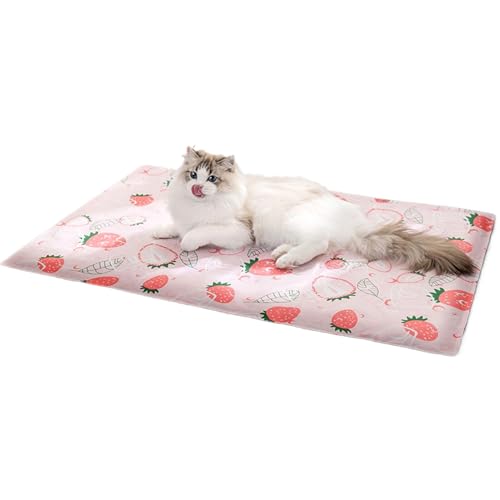 lisutupode Kühlende Matten Für Katzen - Atmungsaktive Kühlunterlage Für Katzen | Tragbare Matte Für Katzenschlaf Zuhause Camping - Tragbare Lösung für Zuhause Camping Komfort lisutupode Kühlende Matten Für Katzen - Atmungsaktive Kühlunterlage Für Katzen | Tragbare Matte Für Katzenschlaf Zuhause Camping - Tragbare Lösung für Zuhause Camping Komfort von lisutupode